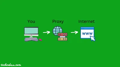 Proxy Là Gì? Cẩm Nang Toàn Tập Về Proxy Cho Người Mới